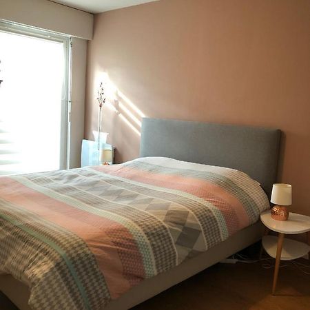 Magnifique Appart + Terrasse De 35M² Apartman Strasbourg Kültér fotó
