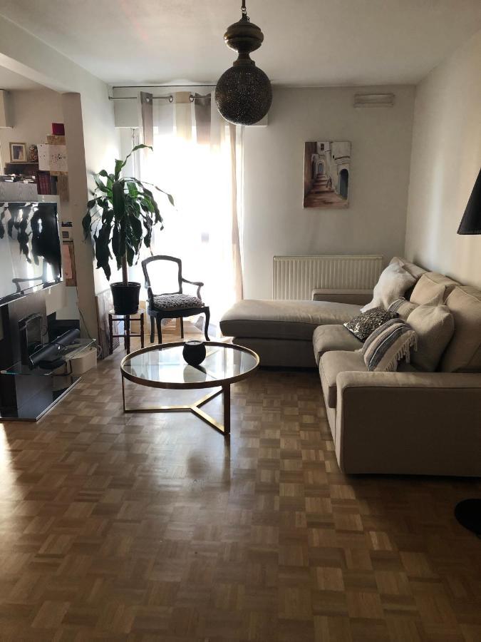 Magnifique Appart + Terrasse De 35M² Apartman Strasbourg Kültér fotó
