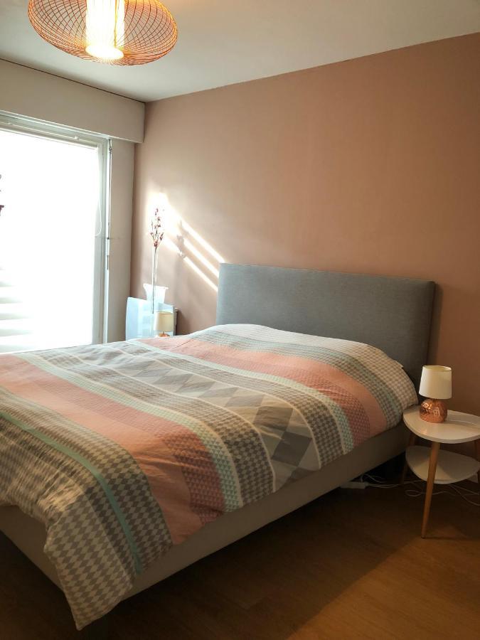 Magnifique Appart + Terrasse De 35M² Apartman Strasbourg Kültér fotó
